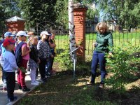 Экскурсия «Деревья нашего края» для учащихся школы № 1 г. Кудымкара. 2018