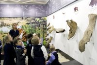 Ученики 1 г класса школы №1 г. Кудымкара на экскурсии "Загадки древней фауны"